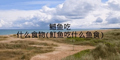 鳡鱼吃什么食物(魟鱼吃什么鱼食)