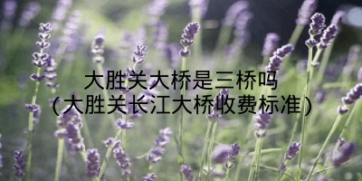 大胜关大桥是三桥吗(大胜关长江大桥收费标准)