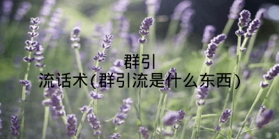 群引流话术(群引流是什么东西)