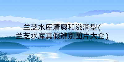 兰芝水库清爽和滋润型(兰芝水库真假辨别图片大全)