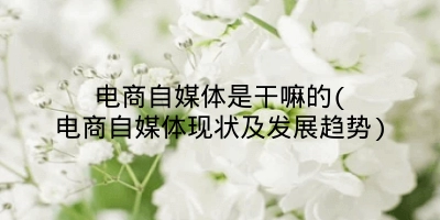 电商自媒体是干嘛的(电商自媒体现状及发展趋势)