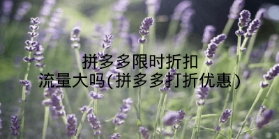 拼多多限时折扣流量大吗(拼多多打折优惠)