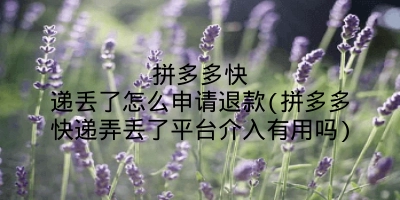 拼多多快递丢了怎么申请退款(拼多多快递弄丢了平台介入有用吗)