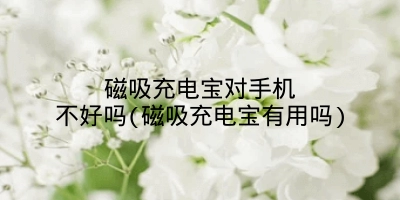 磁吸充电宝对手机不好吗(磁吸充电宝有用吗)