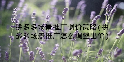 拼多多场景推广调价策略(拼多多场景推广怎么调整出价)