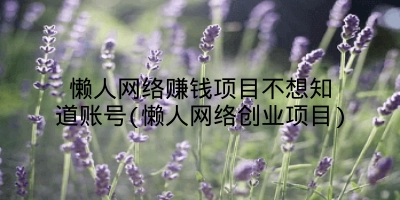 懒人网络赚钱项目不想知道账号(懒人网络创业项目)