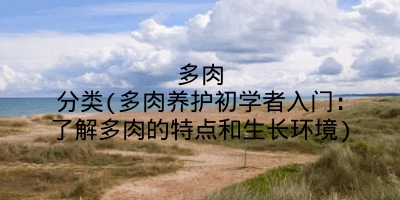 多肉分类(多肉养护初学者入门：了解多肉的特点和生长环境)