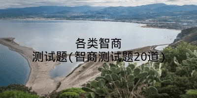 各类智商测试题(智商测试题20道)