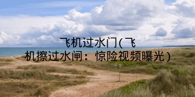 飞机过水门(飞机擦过水闸:惊险视频曝光)