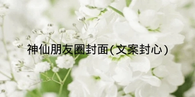 神仙朋友圈封面(文案封心)