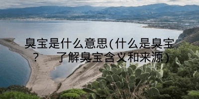 臭宝是什么意思(什么是臭宝? 了解臭宝含义和来源)