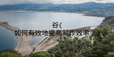 谷(如何有效地提高写作效率？)