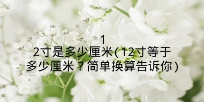 12寸是多少厘米(12寸等于多少厘米?简单换算告诉你)