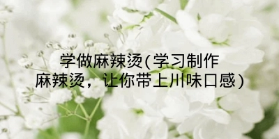 学做麻辣烫(学习制作麻辣烫,让你带上川味口感)