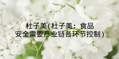 杜子美(杜子美:食品安全需要产业链各环节控制)