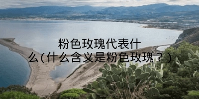 粉色玫瑰代表什么(什么含义是粉色玫瑰?)