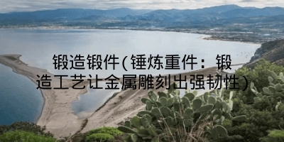 锻造锻件(锤炼重件：锻造工艺让金属雕刻出强韧性)