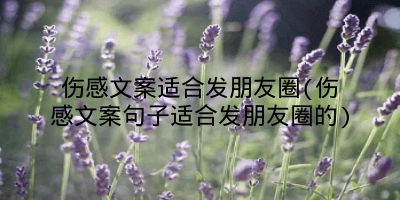 伤感文案适合发朋友圈(伤感文案句子适合发朋友圈的)