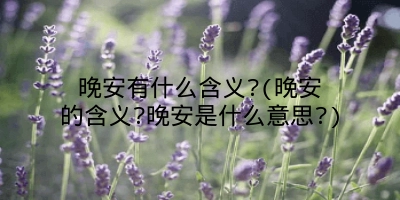 晚安有什么含义?(晚安的含义?晚安是什么意思?)