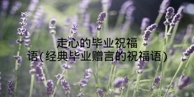 走心的毕业祝福语(经典毕业赠言的祝福语)