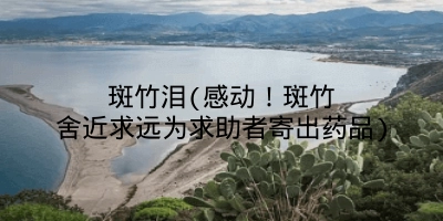 斑竹泪(感动!斑竹舍近求远为求助者寄出药品)