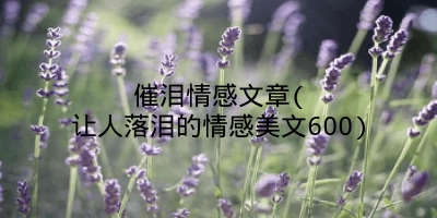 催泪情感文章(让人落泪的情感美文600)