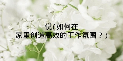 悦(如何在家里创造高效的工作氛围?)