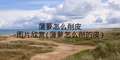 菠萝怎么削皮图片欣赏(菠萝怎么削的皮)