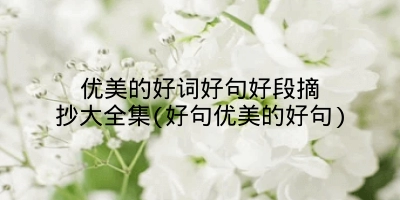优美的好词好句好段摘抄大全集(好句优美的好句)