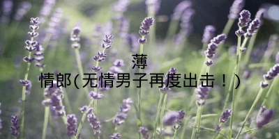 薄情郎(无情男子再度出击！)