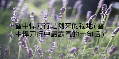 雪中悍刀行是剑来的福地(雪中悍刀行中最霸气的一句话)