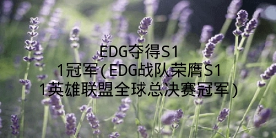 EDG夺得S11冠军(EDG战队荣膺S11英雄联盟全球总决赛冠军)