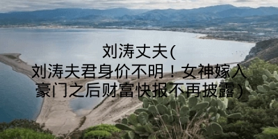 刘涛丈夫(刘涛夫君身价不明！女神嫁入豪门之后财富快报不再披露)