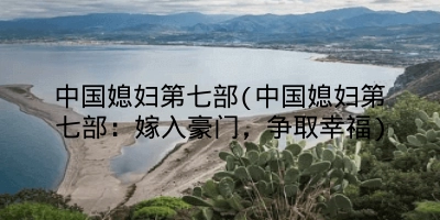 中国媳妇第七部(中国媳妇第七部:嫁入豪门,争取幸福)