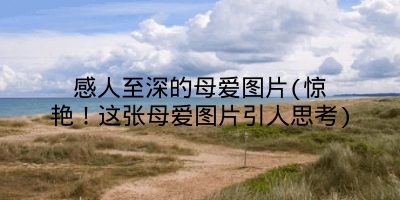 感人至深的母爱图片(惊艳!这张母爱图片引人思考)