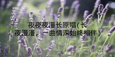夜夜夜漫长原唱(长夜漫漫，一曲情深始终相伴)