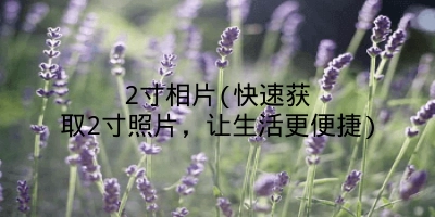 2寸相片(快速获取2寸照片,让生活更便捷)