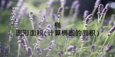 椭圆形面积(计算椭圆的面积)