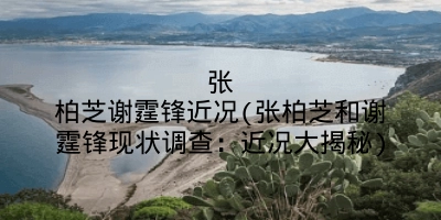 张柏芝谢霆锋近况(张柏芝和谢霆锋现状调查:近况大揭秘)