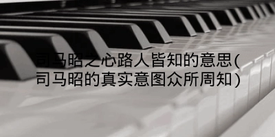 司马昭之心路人皆知的意思(司马昭的真实意图众所周知)