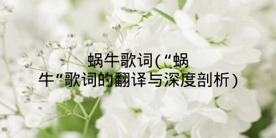 蜗牛歌词(“蜗牛”歌词的翻译与深度剖析)