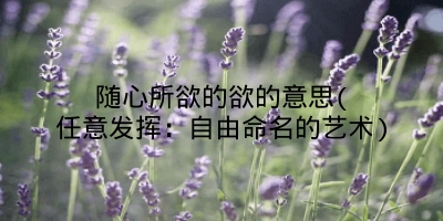 随心所欲的欲的意思(任意发挥：自由命名的艺术)