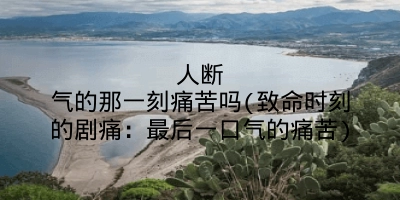 人断气的那一刻痛苦吗(致命时刻的剧痛:最后一口气的痛苦)