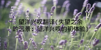望洋兴叹翻译(失望之余的远景:望洋兴叹的初体验)