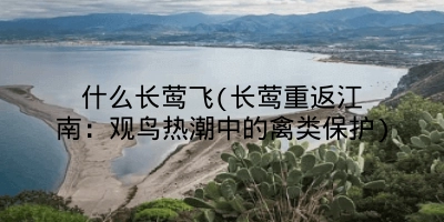 什么长莺飞(长莺重返江南:观鸟热潮中的禽类保护)