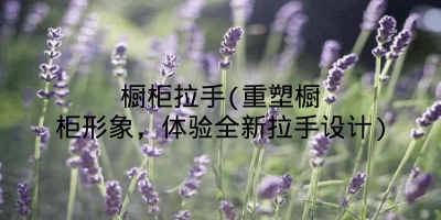 橱柜拉手(重塑橱柜形象,体验全新拉手设计)