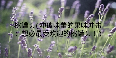 桃罐头(冲破味蕾的果味冲击:想必最受欢迎的桃罐头!)