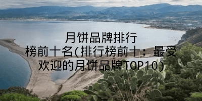 月饼品牌排行榜前十名(排行榜前十:最受欢迎的月饼品牌TOP10)