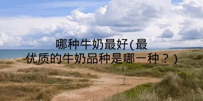 哪种牛奶最好(最优质的牛奶品种是哪一种？)