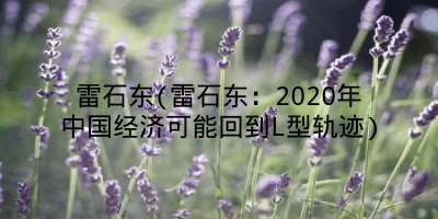 雷石东(雷石东:2020年中国经济可能回到L型轨迹)